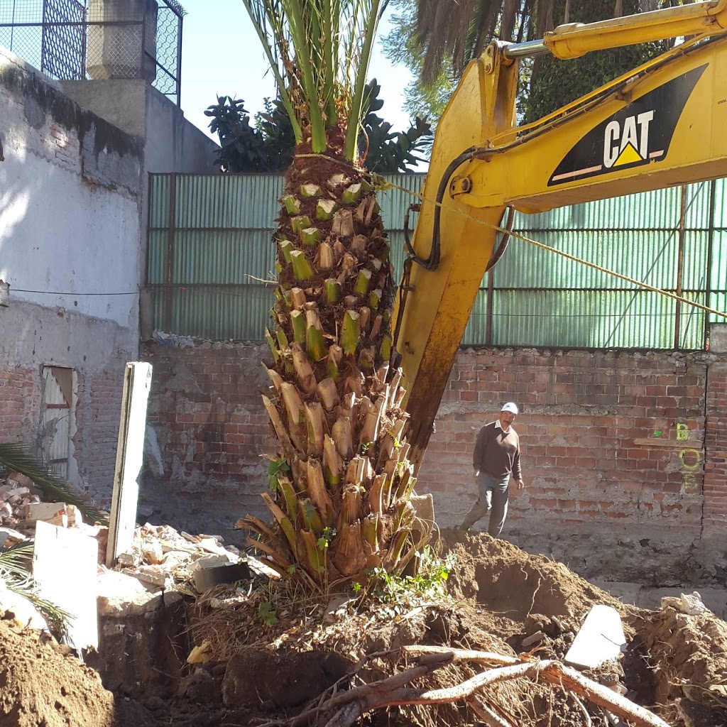 Construcción, remodelación y mantenimiento de áreas verdes